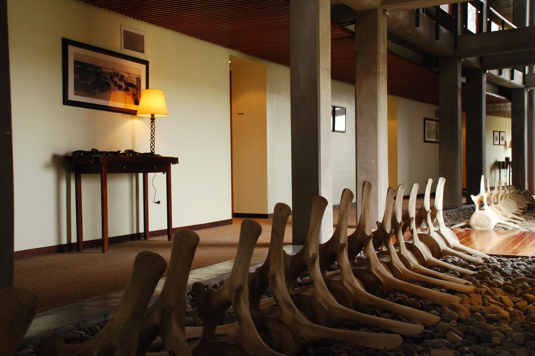 Hotel Territorio Puerto Madryn Luaran gambar